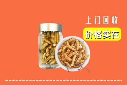 禹王台区回收散虫草