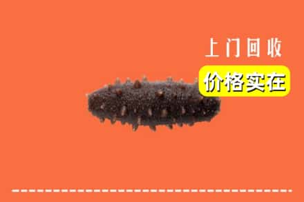 诚信求购:禹王台区高价回收海参