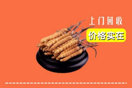 诚信求购:禹王台区高价回收冬虫夏草